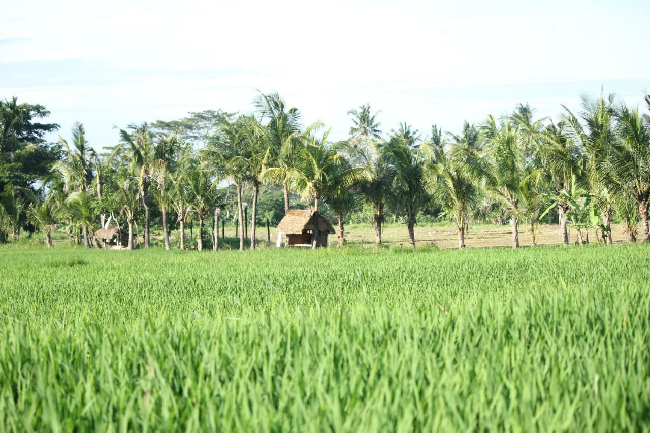 Ayuna Family Ubud Exterior foto