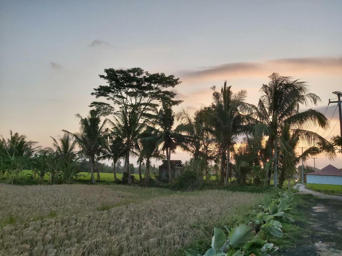 Ayuna Family Ubud Exterior foto